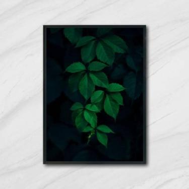 Imagem de Quadro Foto Folhagem 33X24Cm - Com Vidro Moldura Preta