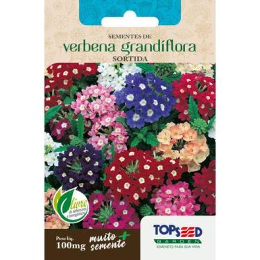 Imagem de Semente Verbena Grandiflora Sortida F044 Topseed