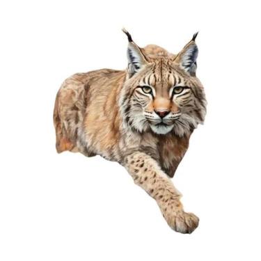 Imagem de Pintura Em Tela Sem Moldura Com Tema De Animal Lince Para Decoração De