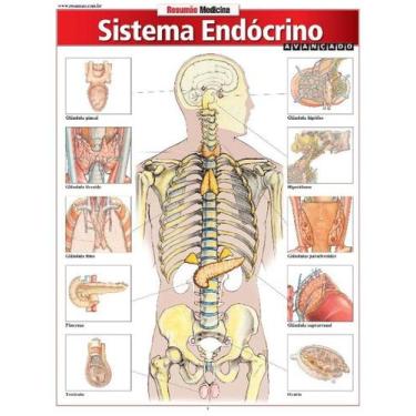 Imagem de Resumao Medicina - Sistema Endocrino Avancado, 3
