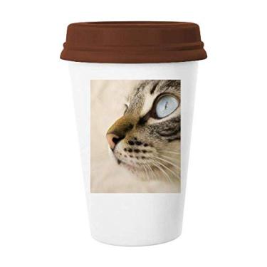 Imagem de Caneca de foto de animal olho azul gatinho cinza copo copo de cerâmica tampa