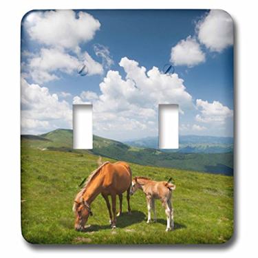 Imagem de 3D Rose LSP_227137_2 Bulgária, Troyan Pass, Elevação 1525 metros, Interruptor duplo de cavalos