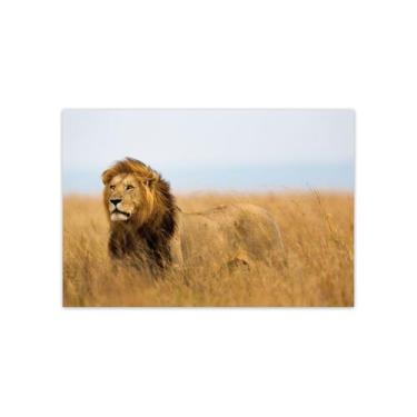 Imagem de Placa Decorativa MDF Foto Safari Leão 20x30cm - Quartinhos