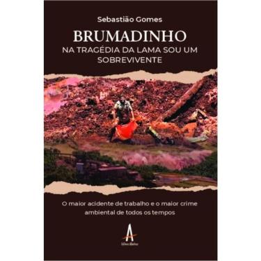 Imagem de Brumadinho: Na Tragédia Da Lama, Sou Um Sobrevivente