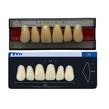 Imagem de Dente Dent Clean Anterior 2N Superior - Imodonto