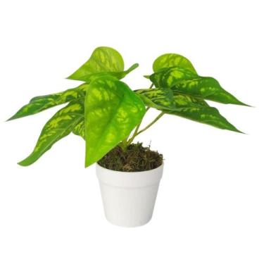 Imagem de Arranjo de Planta Artificial em Vaso de Plástico - Melhores Ofertas , 