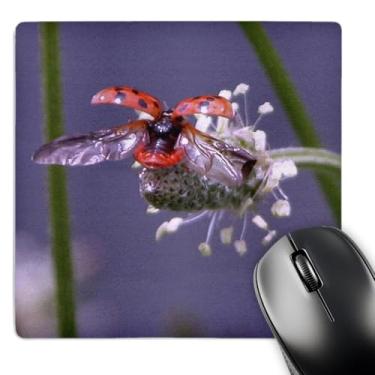 Imagem de 3dRose Mouse pad LLC 20,3 x 20,3 x 0,63 cm Fly Away Home, Lady Bug (mp_11601_1)