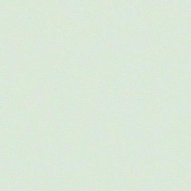 Imagem de Papel de Parede Vinílico Liso menta revoada 4435 53x1000 - Bobinex