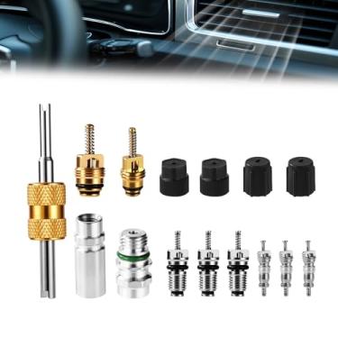 Imagem de Lyreh 15 unidades Kit núcleo válvula de ar condicionado, núcleos válvula de refrigeração com juntas de teflon e tampas para R12 R134a ferramentas de reparação HVAC carro para manutenção linha