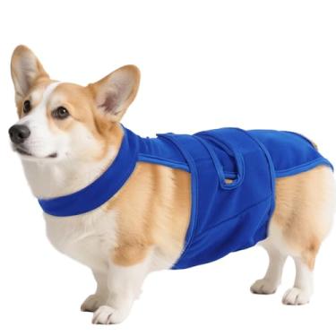 Imagem de QBLEEV Fraldas para cães fêmeas com suspensórios ajustáveis – Calcinha higiênica lavável para cães com calor ou incontinência, roupa íntima reutilizável à prova de fuga para animais de estimação para