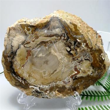 Imagem de FFIME Pedras naturais e minerais pedra de madeira de cristal para casa sala de estar escritório decoração de mesa (cor: como mostrado, tamanho: 230-250g)