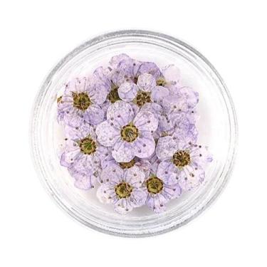 Imagem de Flores Secas Prensadas De Narciso E Flor De Ameixa 20pçs Para Resina E