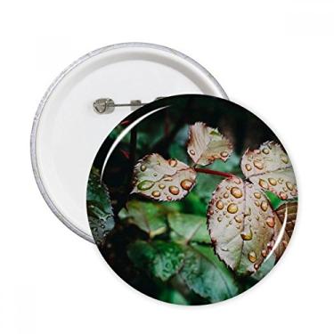 Imagem de Alfinetes redondos de folha de orvalho com imagem de natureza e emblema de botão para decoração 5 peças