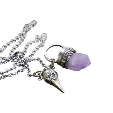 Imagem de RillyRellow Colar com pingente de cristal vintage, medalhão de ametista e crânio de corvo talismã, medalhão de caveira de corvo com ametista e citrino, colar de caveira de corvo para homens e mulheres