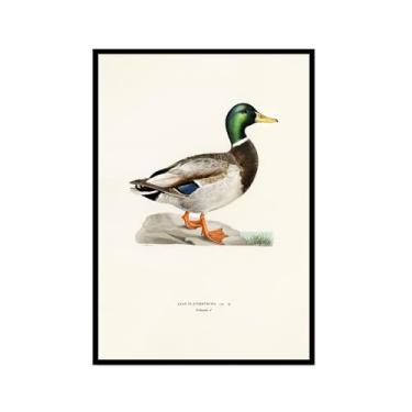 Imagem de Impressão de pato vintage rústico Pato Pato Pato Lago pôster de arte de parede retrô natureza pintura em tela imagens decoração de quarto de fazenda (SKU2,20.3x30.5 cm = (20x30cm), moldura preta para