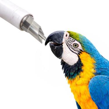 Imagem de Bebedouro Automático para ARARA PAPAGAIO CACATUA - CHOCMASTER