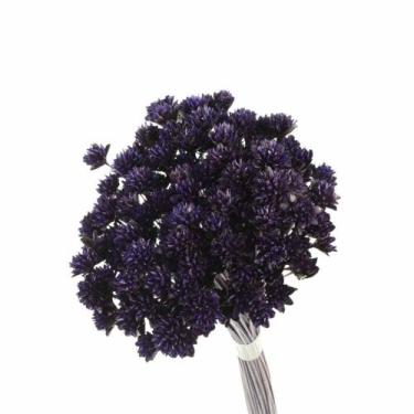 Imagem de Planta Seca Botão Espeta Nariz Desidratado Roxo - Pense Flores