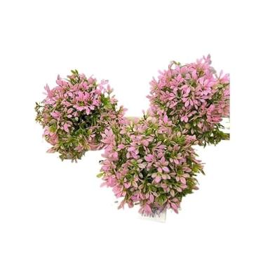 Imagem de kit 3 mini planta artificial meia (Kit 3 rosa)