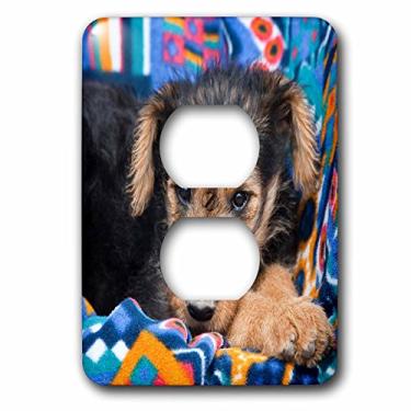 Imagem de 3dRose Lsp_93009_6 Capa de tomada para filhotes de cachorro Airedale deitado para baixo, multicolorida
