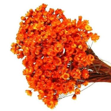 Imagem de 600 Sempre Viva Florzinha Laranja I Flores Desidratadas - Tem Flores