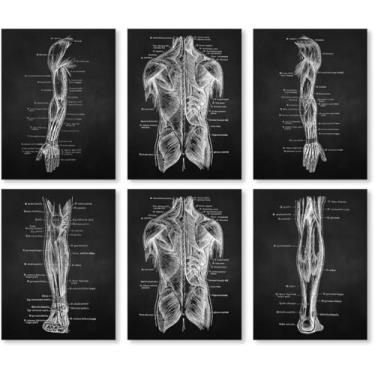 Imagem de Fundo preto anatomia humana arte médica impressões imagens esqueleto músculo pôster vintage educação pintura arte decoração de parede (SKU15-6PCS, 16 x 20 polegadas = (40 x 50 cm), sem moldura)