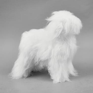 Imagem de Abbylike Brinquedo Poodle modelo cachorro e peruca branca de alta densidade pacote econômico para prática de cuidados pessoais manequim padrão realista para treinamento de beleza, competição de