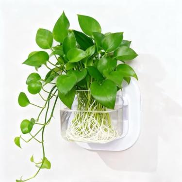 Imagem de YSHXNX Vaso de parede – Estação de propagação, vasos suspensos de acrílico para plantas hidropônicas internas, flores, mini peixes ou micro paisagem, decoração de recursos de água para casa de banho e