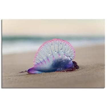 Imagem de Pôster molhado profundidade de campo impressões em tela animais arte de parede para casa 1 painéis decorações não ramed 30.5 cm x 20.3 cm