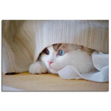Imagem de 093 Impressão em tela de gato natureza adorável pôster arte de parede para casa 1 peça decorações não ramificadas 30,5 x 20,3 cm