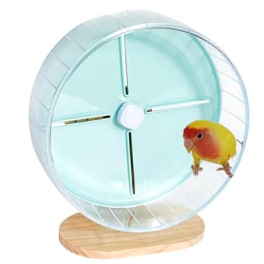 Imagem de Roda de exercício de papagaio super silenciosa com suporte, rodas de corrida silenciosas para pássaros com suporte ajustável de altura para periquitos, conures, hamsters, gerbos, ratos pequenos (verde