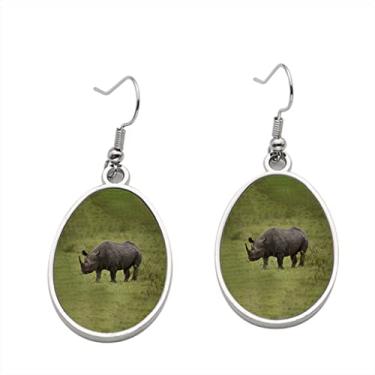 Imagem de Brinco de rinoceronte preto – Brincos pendentes para meninas – Presente de festa de aniversário dos namorados