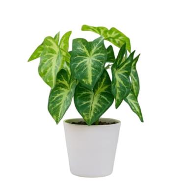Imagem de Planta Artificial em Vaso 28cm – Decoração de Sala, Escritório e Quarto | Folhas de Plástico Realistas | Sem Manutenção (Orelha de Gato)