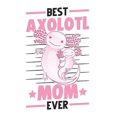 Imagem de Axolotl Notebook: Axolotl girl salamander mama aquarium / 6x9 inches / 120 graph sites