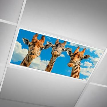 Imagem de SCWISOAS Capas de luz fluorescente para luzes de teto - Capa de nuvem magnética para luminárias fluorescentes ou LED 6 pés x 1,2 m para sala de aula, casa, escritório, filtros de iluminação aérea -