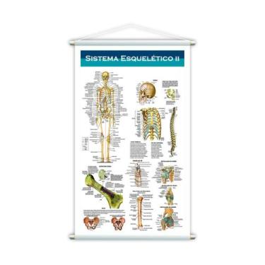 Imagem de Banner Escolar Pedagógico Sistema Esquelético Ll 120X60Cm - Plimshop