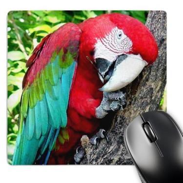 Imagem de 3dRose Mouse pad LLC 20 x 20 x 0,63 cm, arara verde (mp_1027_1)
