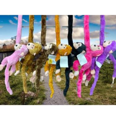 Imagem de Brinquedo  Pelucia Macaquinho De Pendurar Com Luz E Som - SEM, Cor ale