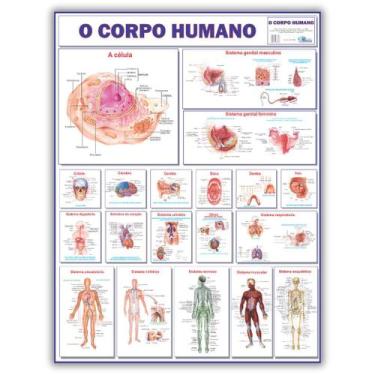 Imagem de Mapa Gigante Do Corpo Humano - Dobrado- Medicina - Anatomia - Enfermag