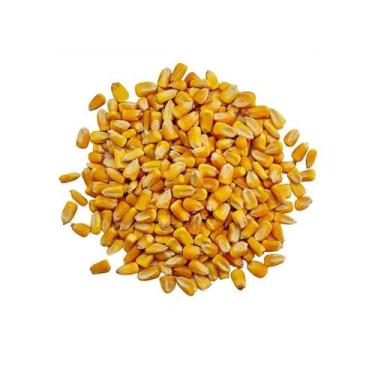 Imagem de Milho de galinha Natural 1 Kg Original