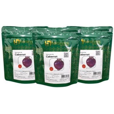 Imagem de Sementes de Beterraba Cabernet Híbrida 15000 un. Alta Produtividade Pl