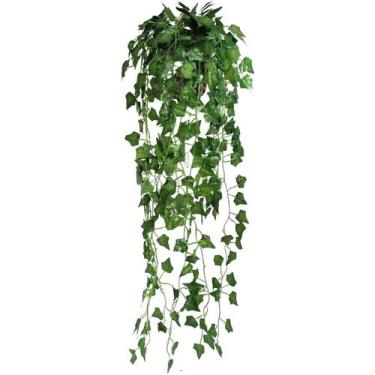 Imagem de Arranjo com vaso planta folhagem verde pendentes trepadeiras folhas ar