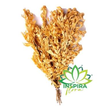 Imagem de Buque Folhagem Carobinha Desidratada Alvejada Arranjo Crespa - Inspira