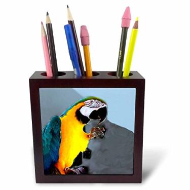 Imagem de 3dRose Arara azul e dourada – Suporte para caneta de azulejo, 12,7 cm (ph_1049_1)