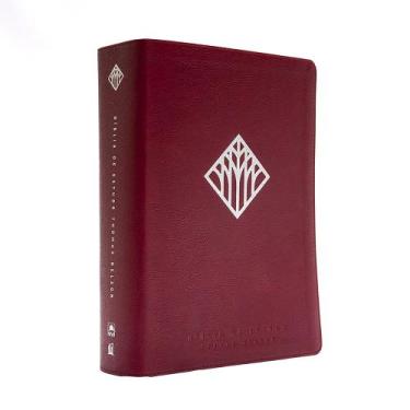 Imagem de Livro - Bíblia de Estudo Thomas Nelson NVI, Capa luxo vinho, Leitura P