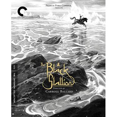 Imagem de The Black Stallion (Criterion Collection)