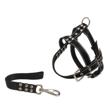 Imagem de Guia e Peitoral para Cães de Grande Porte com Ajuste no Tórax e Fecho de Nylon Resisten...