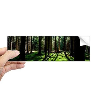 Imagem de DIYthinker Cenário de natureza ciência florestal verde retangular para-choque adesivo para janela notebook