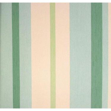 Imagem de Papel de Parede Safari Friends Listrado Colorido SF6202