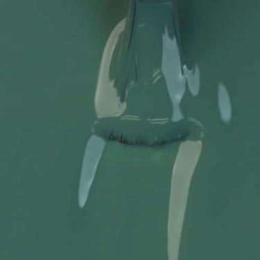 Imagem de Esmalte Cremoso Impala Movimenta! Segue A Trilha