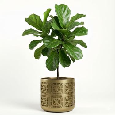 Imagem de Genérico, Vaso Redondo Clássico, Uso Interno, Tamanho P, Marrom, Polietileno, Acabamento Madeira, Redondo, Chão, Vaso de Plantas, 11x12x10 cm